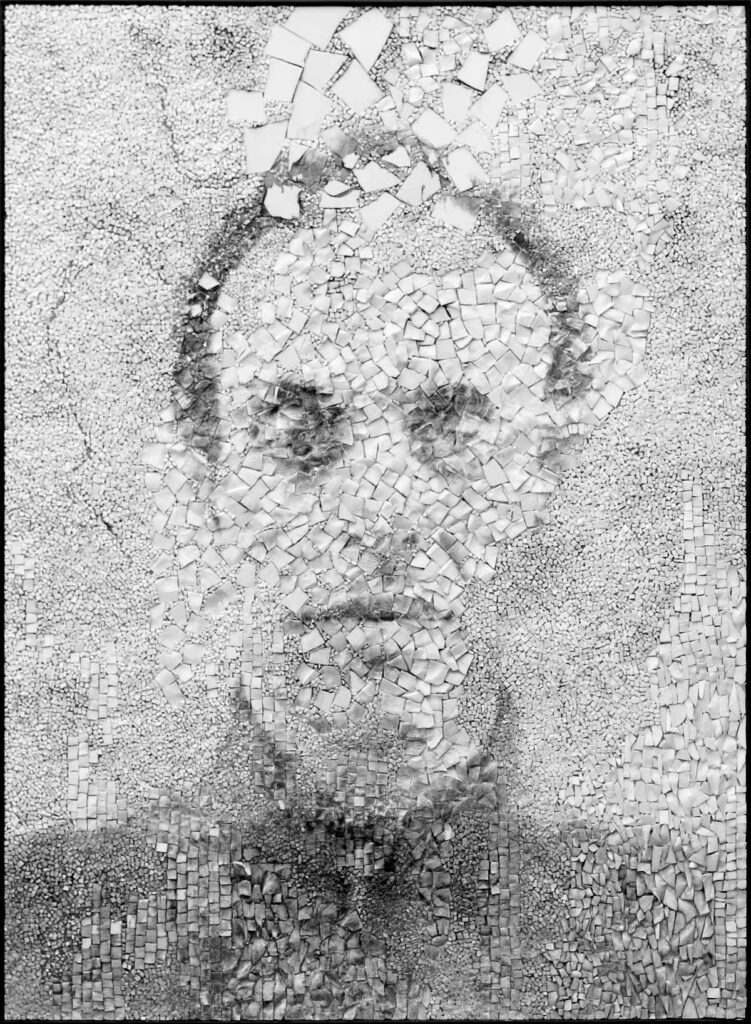 Giornate 1, portrait photographique sur mosaïque