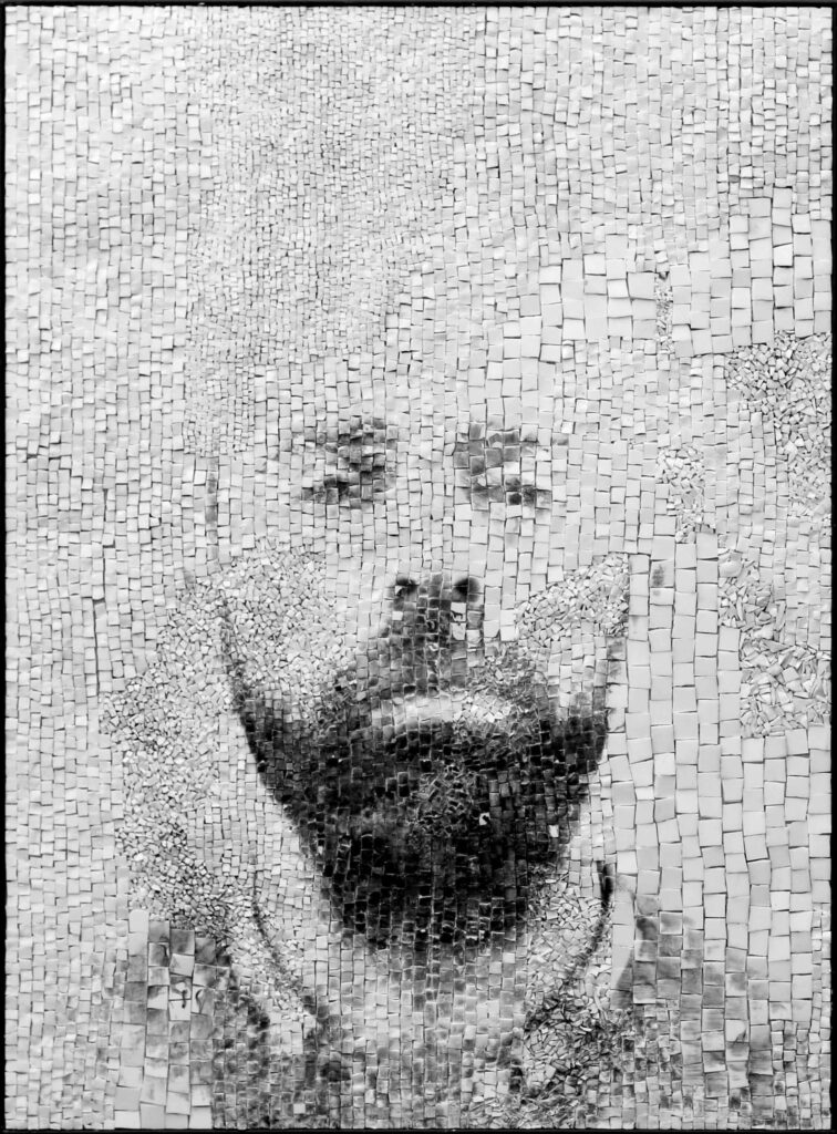 Giornate 3, portrait en photographie argentique sur mosaïque de verre blanc